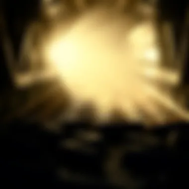 Application of dump trailer liners in agriculture