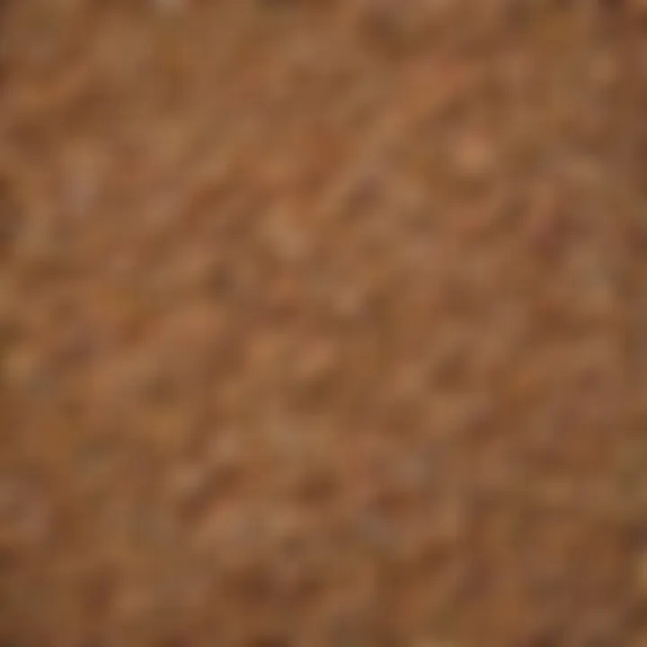 A close-up of whole grains and legumes