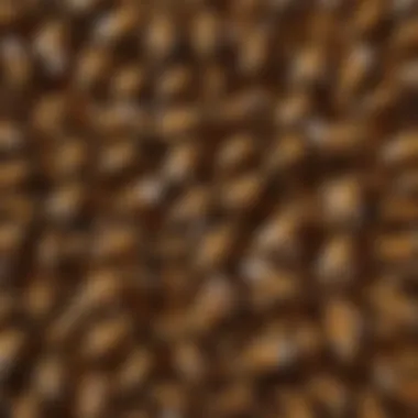 Honey bee hive with bees working together