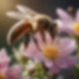 Close-up of a honey bee on a flower