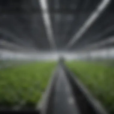 Innovative Hydroponic Farm Layout A modern hydroponic farm featuring a structured layout and growing systems.