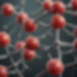 Illustration of immunoglobulin G structure