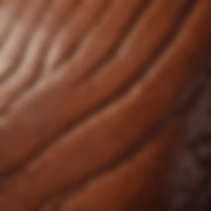 Close-up of textured leather displaying its sheen