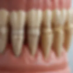 Close-up view of McFarlane harrow teeth demonstrating their unique design and structure