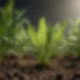 Illustration of nitrogen's role in plant health