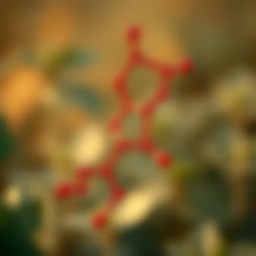 Chemical structure of Pillar G illustrating its intrinsic properties