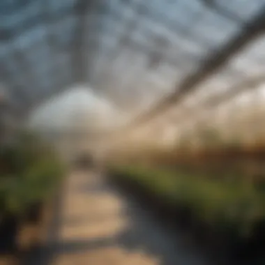 Efficient heating in a greenhouse