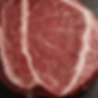 Close-up of marbled beef showcasing grading quality