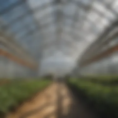 Illustration demonstrating radiant heat distribution in a greenhouse