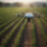 Drone surveying agricultural fields