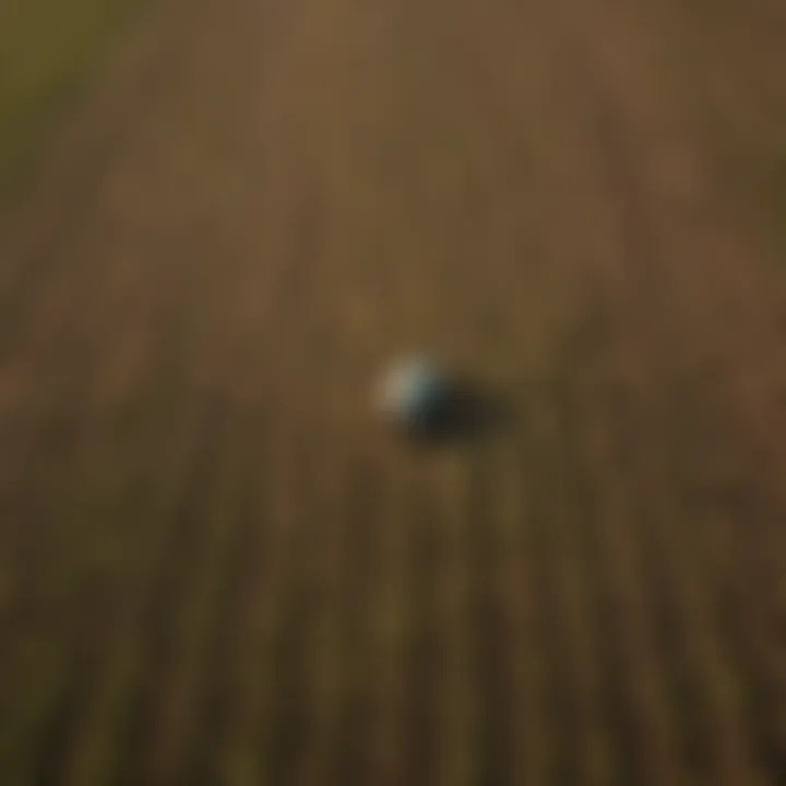 Aerial view of a soybean field showcasing different row spacing