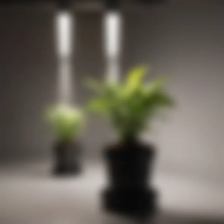 Comparison chart of grow light efficiency