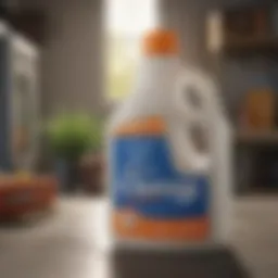 Understanding the Difference Between Clorox and Clorox 2 Introduction