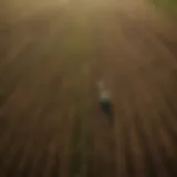 Aerial view of diverse agricultural fields