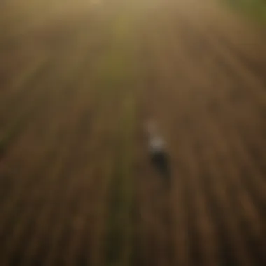 Diversity in Agriculture Aerial view of diverse agricultural fields
