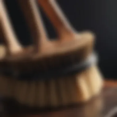 An infographic illustrating the maintenance tips for farrier brushes.