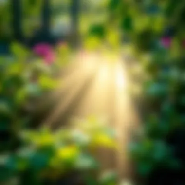 Healthy Plants Thrive with Correct pH Management Healthy plants in a garden showcasing optimal pH levels