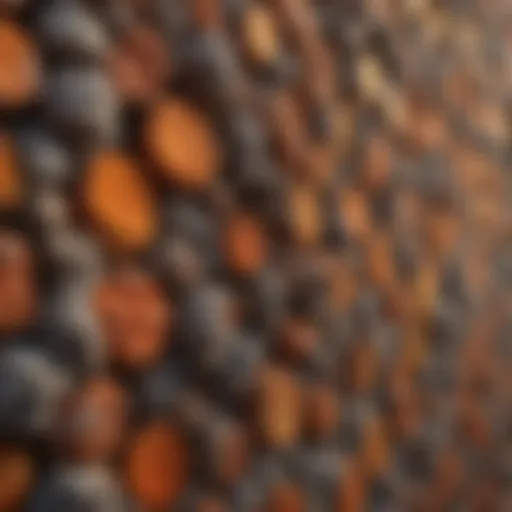 An example of thermal wall insulation materials in a building