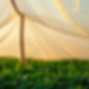 Thick tarp providing moisture management for crops