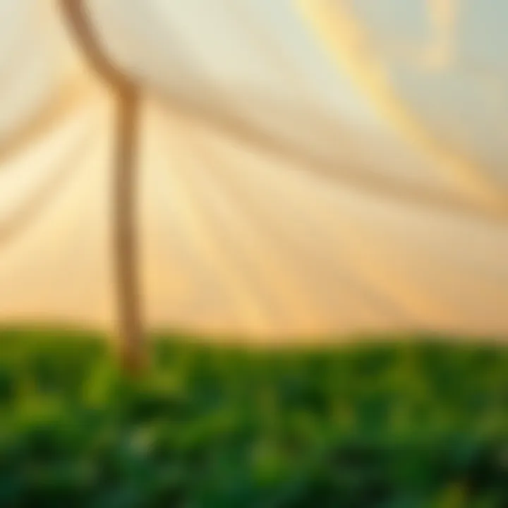 Thick tarp providing moisture management for crops