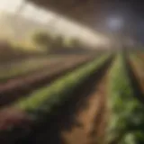 Overview of USDA organic certification costs