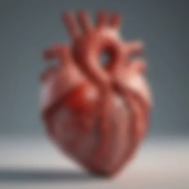 Illustration of canine heart for understanding heart conditions Heart diagram for veterinary education