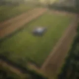 Aerial view of lush agricultural fields reflecting sustainability