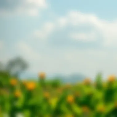 Eco-friendly farming practices with spray indicator dye