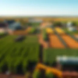 Aerial view of a vibrant turf auction setting